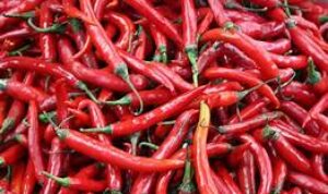cabai merah