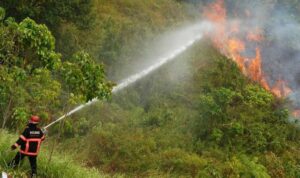 KEBAKARAN LAHAN PADANG
