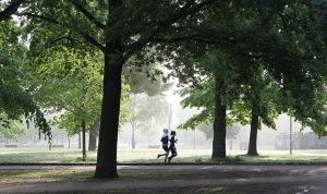 jogging-4211946_640