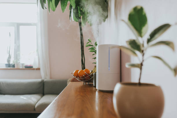 Air Humidifier increasing the humidity in a living room for better air